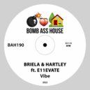 Briela & Hartley ft. E11EVATE - Vibe