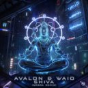 Avalon & Waio - Shiva