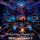 Wilostey Project - Freyli Marrakesh 3