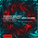 Eugenio Tokarev & Beatsole feat. Amin Salmee - Lonely Soul