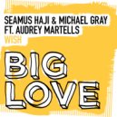 Seamus Haji & Michael Gray featuring Audrey Martells - Wish