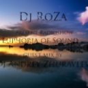 Dj RoZa pres. Radioshow Euphoria of Sound 46 Guests DJ Andrey Zhuravlev - Euphoria of Sound 46