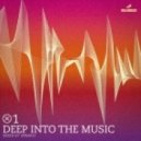Spinafly - Deep Into The Music 01