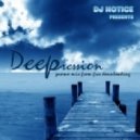 DJ Notice - Deepression.