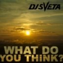 DJ Sveta - What Do You Think?