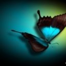 Ksushka - A Touch of Butterflies