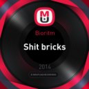 Bioritm - Shit Bricks