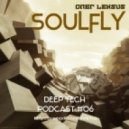 Oleg LEKSUS - Soulfly Podcast #06