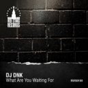 DJ DNK - What Are You Waiting For