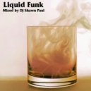 DJ Shawn Paul - Liquid Funk