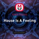 Sakis Siopsis - House Is A Feeling