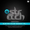 DJ Stretch - Electro House Session Vol.1