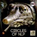 NLP - Circles of NLP
