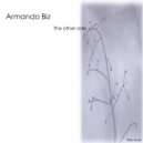 Armando Biz - The Other Side