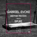Gabriel Evoke - Another Process