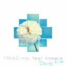 TRIAD inc. & Akeera - Doing Fine (feat. Akeera)