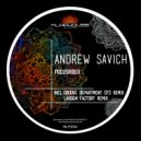 Andrew Savich - Focusrider