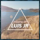 Luis JR - Feelings