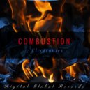 7 Electronics - Combustion
