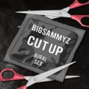 BigSammyZ - Cut Up