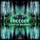 Raccoon - Child of the Forest