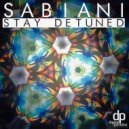 Sabiani - Where Are We?