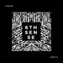 Sinuhe Garcia - Signal To Noise