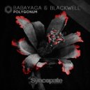 Miss Babayaga DJ & DJ Josh Blackwell - Polygonum