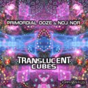 Primordial Ooze & Noj Nor - Translucent Cubes