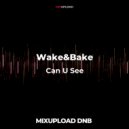 Wake&Bake + Bitsune Ft. White Sugar - Can U See
