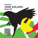 Jose Solano - Tropical Forest
