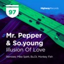 Mr. Pepper & So.young - Illusion Of Love