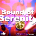 Jazzx - Sound of Serenity Vol. 6
