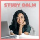 Study Calm - Study Soft