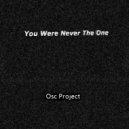 Osc Project - You Were Never The One
