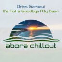 Driss Garbaui - It's Not A Goodbye My Dear