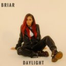 Briar - Daylight