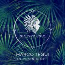 Marco Tegui - In Plain Sight