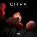 Citra - Dreamscape