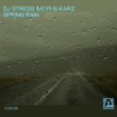 DJ Stress (M.C.P) & KARZ - Spring Rain