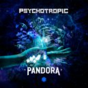 Psychotropic - Pandora