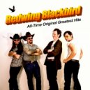 Redwing Blackbird - You're Lucky We Showed Up