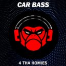 Car Bass - Madness