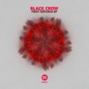 Black Crow - Timing