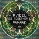 Avidel - Rise Together