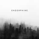 TourerDJ - Endorphine