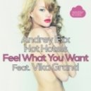 Andrey Exx, Hot Hotels Feat. Vika Grand - Feel What You Want