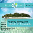 Evgeny Bardyuzha - Islands Of Tranquility (Blood Groove & Kikis Remix)