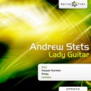 Andrew Stets - Lady Guitar