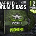 Profit - World of Drum&Bass